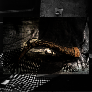 IDEAS, EXPERTISE AND POSITIONS