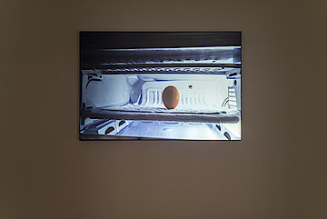 IDEAS, EXPERTISE AND POSITIONS