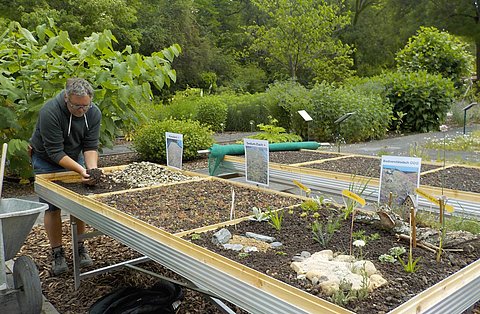 Frankfurt's botanical garden