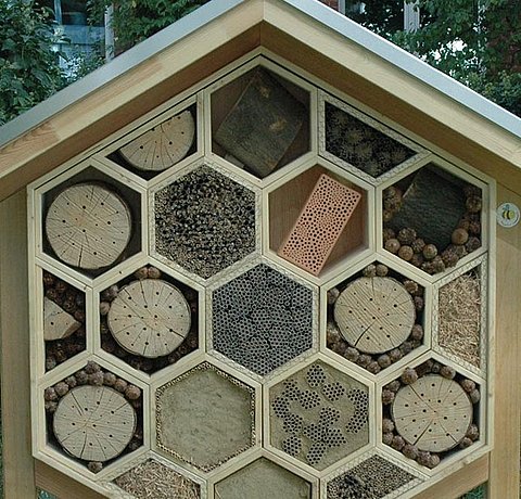 Bienen der KfW Stiftung