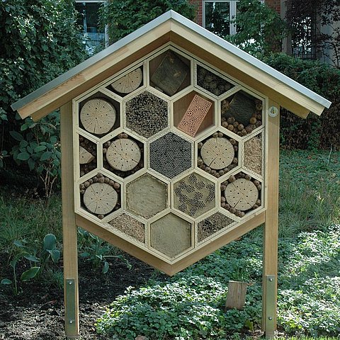 Observing and Learning about Beekeeping