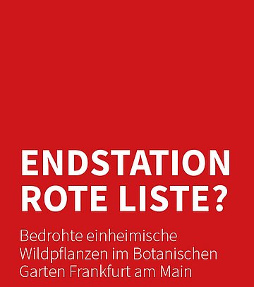 IDEAS, EXPERTISE AND POSITIONS