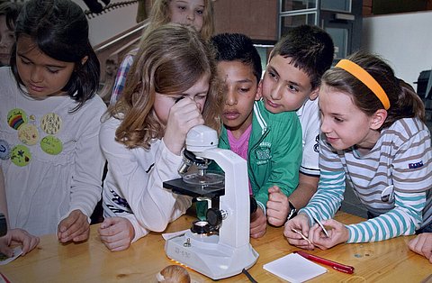 Naturmuseum Senckenberg Senckenberg