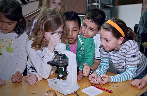 Senckenberg Naturmuseum Frankfurt Senckenberg