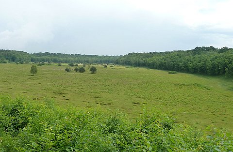 GEO Biodiversity Day