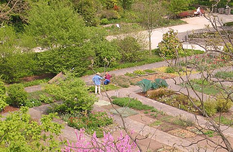 Frankfurt's botanical garden Frankfurt's botanical garden