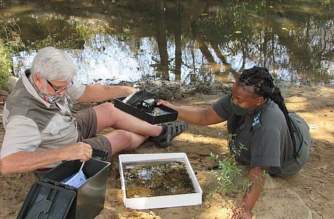 Southern African Wildlife College