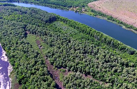 Unsere Mission: Wandel gestalten