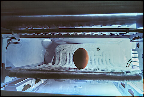 Kunstsammlung der KfW Stiftung Kunstsammlung