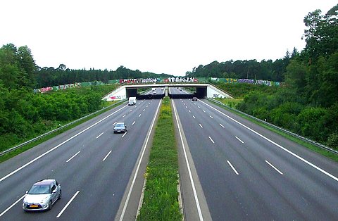 GEO Biodiversity Day