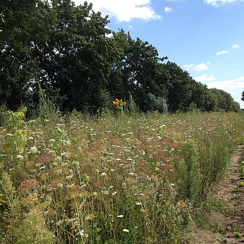 Viele gestalten Vielfalt
